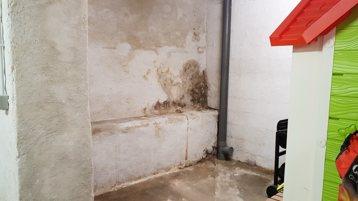 Infiltrations d'eau - Expertise humidité à Lorient